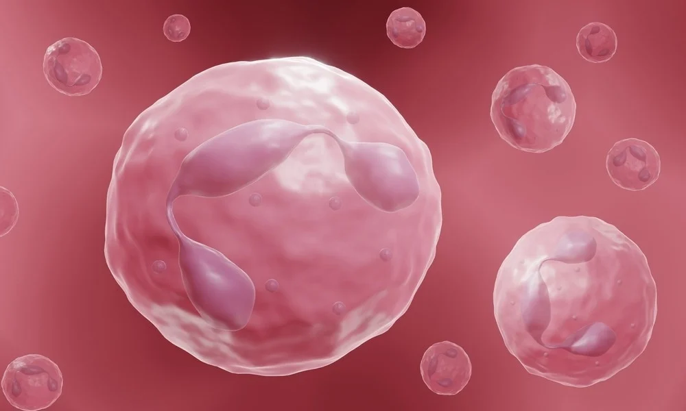 Chronic Inflammation