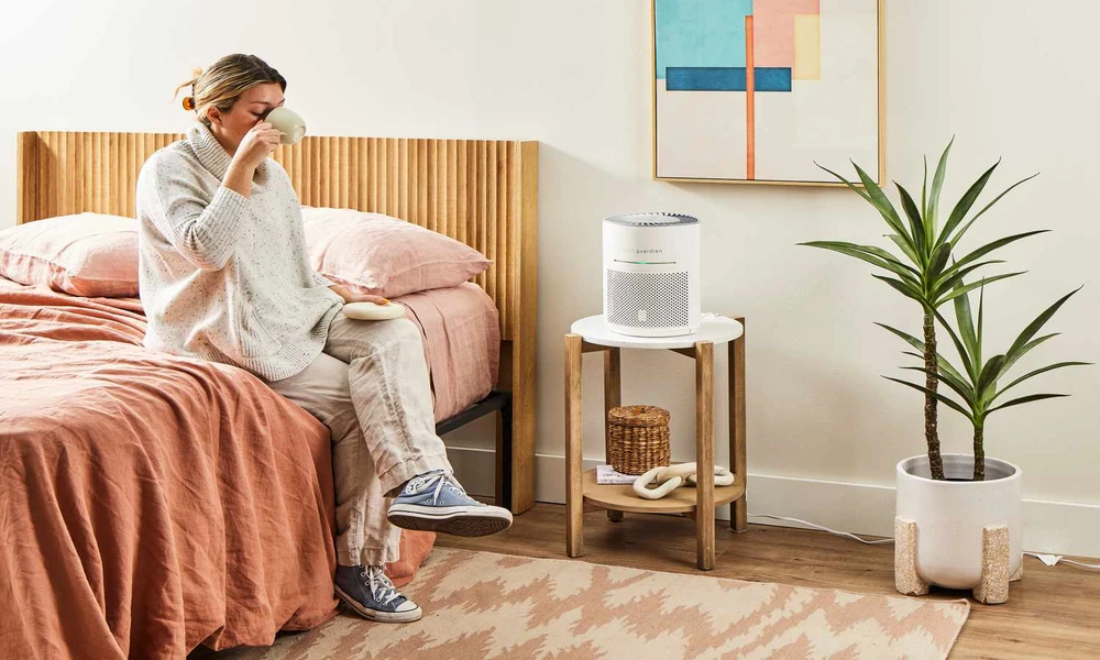 Washable Filter Air Purifiers: Why They Are Worth Understanding
